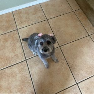 Meet your Posher, Wanda